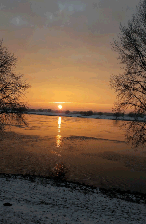 Ausblick